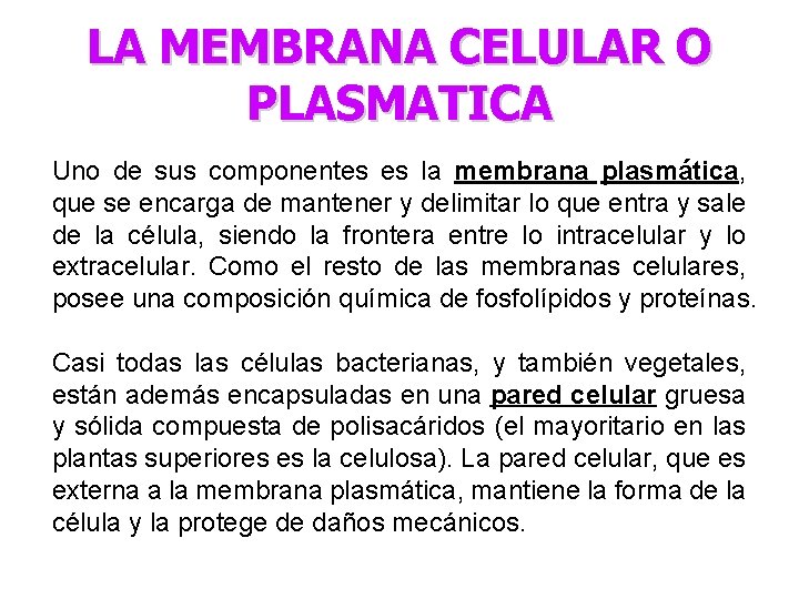 LA MEMBRANA CELULAR O PLASMATICA Uno de sus componentes es la membrana plasmática, que