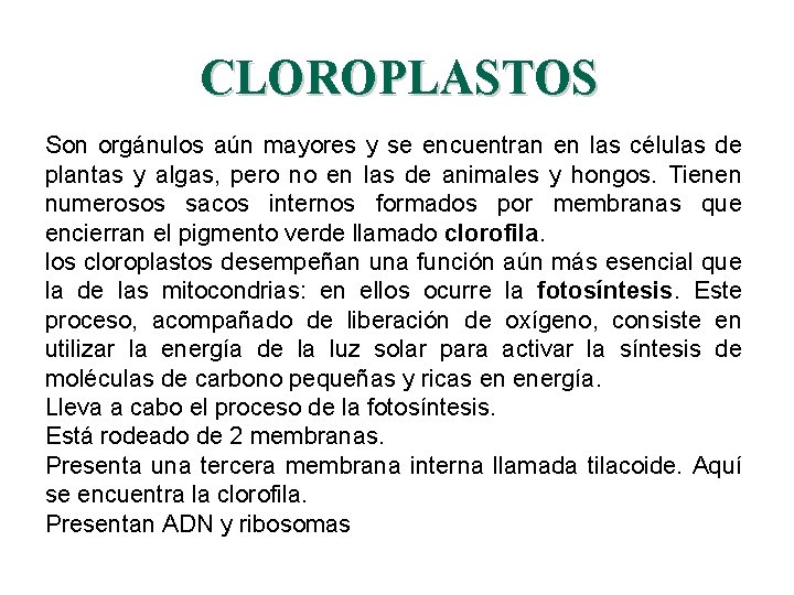 CLOROPLASTOS Son orgánulos aún mayores y se encuentran en las células de plantas y