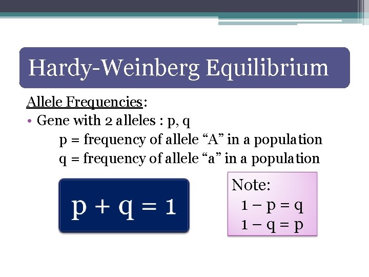 Hardy-Weinberg Equilibrium Allele Frequencies: • Gene with 2 alleles : p, q p =