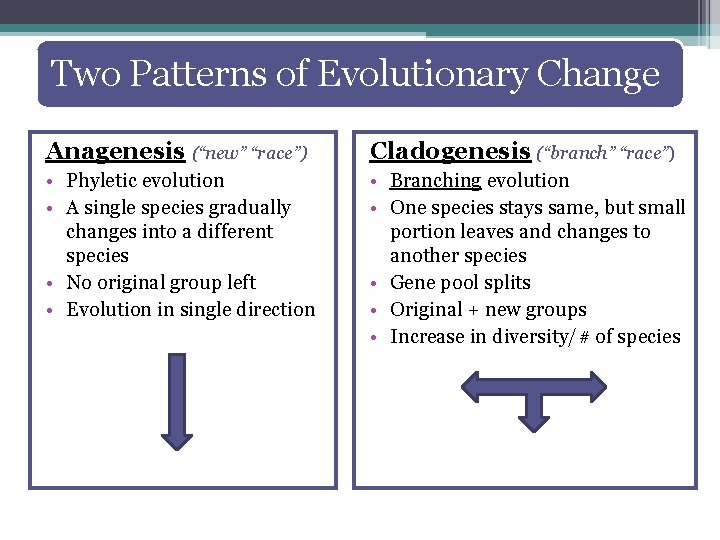 Two Patterns of Evolutionary Change Anagenesis (“new” “race”) Cladogenesis (“branch” “race”) • Phyletic evolution