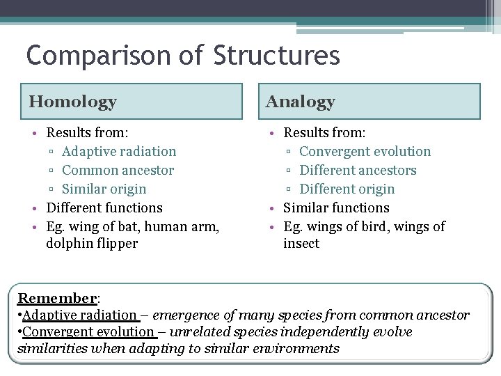 Comparison of Structures Homology Analogy • Results from: ▫ Adaptive radiation ▫ Common ancestor