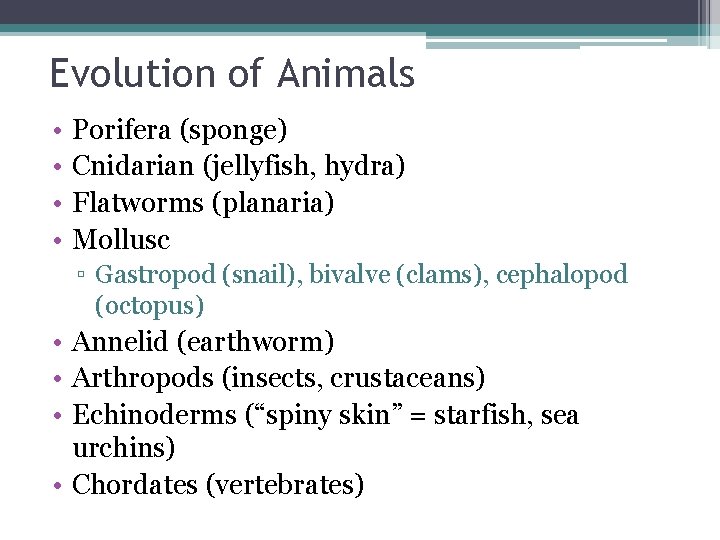 Evolution of Animals • • Porifera (sponge) Cnidarian (jellyfish, hydra) Flatworms (planaria) Mollusc ▫