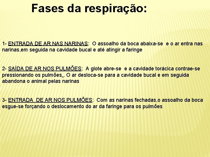 Fases da respiração: 1 - ENTRADA DE AR NAS NARINAS: O assoalho da boca