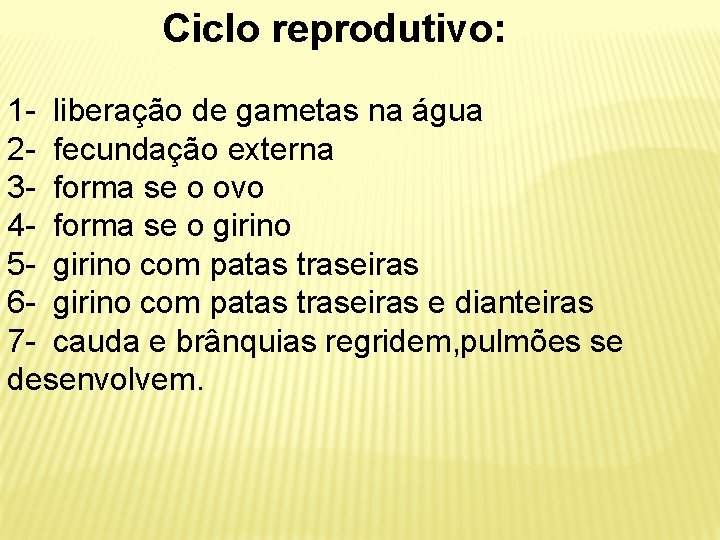 Ciclo reprodutivo: 1 - liberação de gametas na água 2 - fecundação externa 3