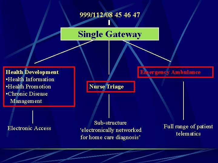 999/112/08 45 46 47 Single Gateway Health Development • Health Information • Health Promotion