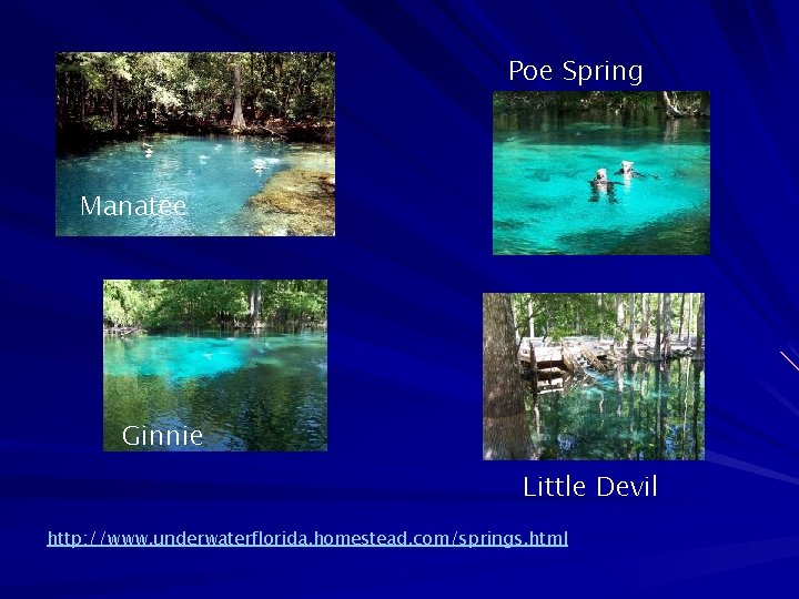 Poe Spring Manatee Ginnie Little Devil http: //www. underwaterflorida. homestead. com/springs. html 