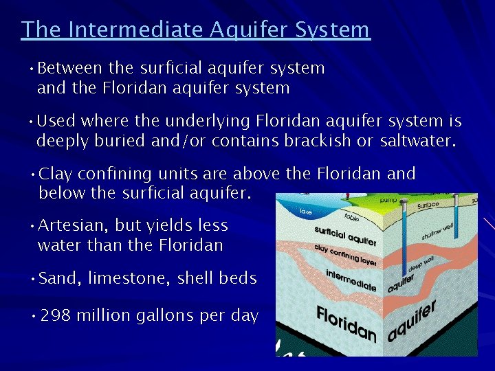 The Intermediate Aquifer System • Between the surficial aquifer system and the Floridan aquifer