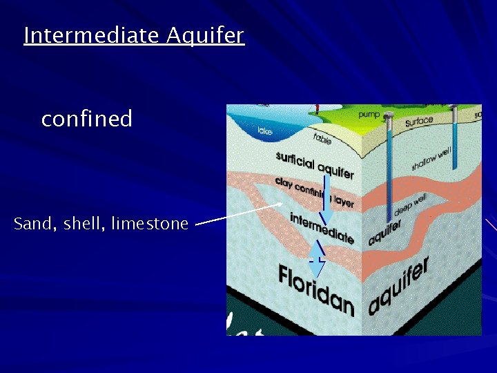 Intermediate Aquifer confined Sand, shell, limestone 