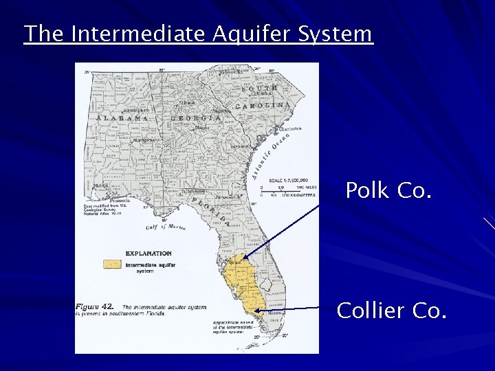 The Intermediate Aquifer System Polk Co. Collier Co. 