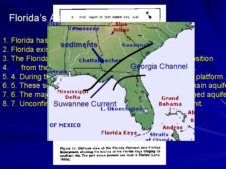 Florida’s Aquifers 1. Florida has both confined and unconfined aquifers sediments 2. Florida exists