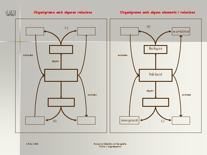 Organigrama amb algunes relacions Organigrama amb alguns elements i relacions (+) (-) mortalitat Biològics