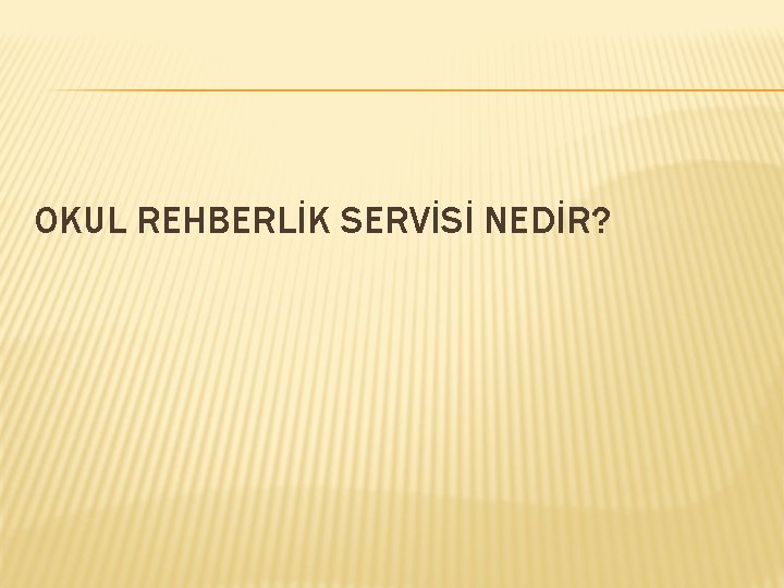 OKUL REHBERLİK SERVİSİ NEDİR? 