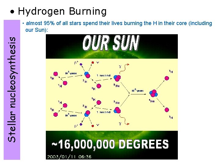  • Hydrogen Burning Stellar nucleosynthesis • almost 95% of all stars spend their