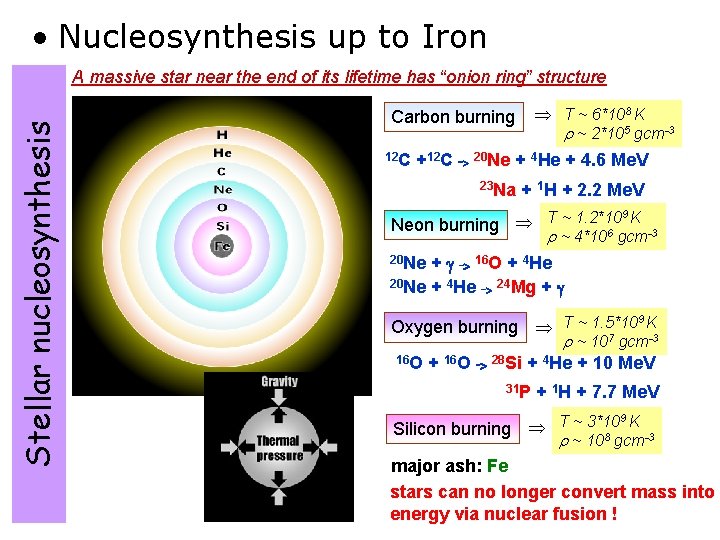  • Nucleosynthesis up to Iron Stellar nucleosynthesis A massive star near the end