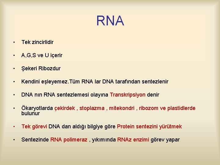 RNA • Tek zincirlidir • A, G, S ve U içerir • Şekeri Ribozdur