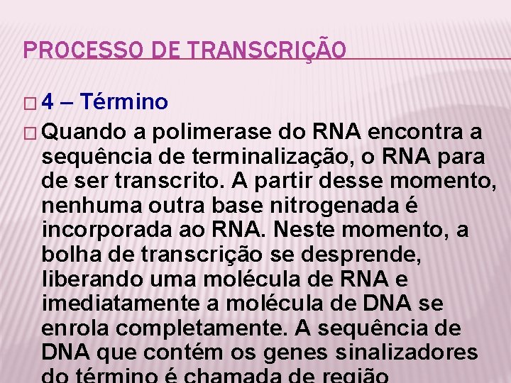 PROCESSO DE TRANSCRIÇÃO � 4 – Término � Quando a polimerase do RNA encontra