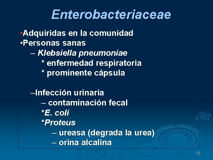 Enterobacteriaceae • Adquiridas en la comunidad • Personas sanas – Klebsiella pneumoniae * enfermedad