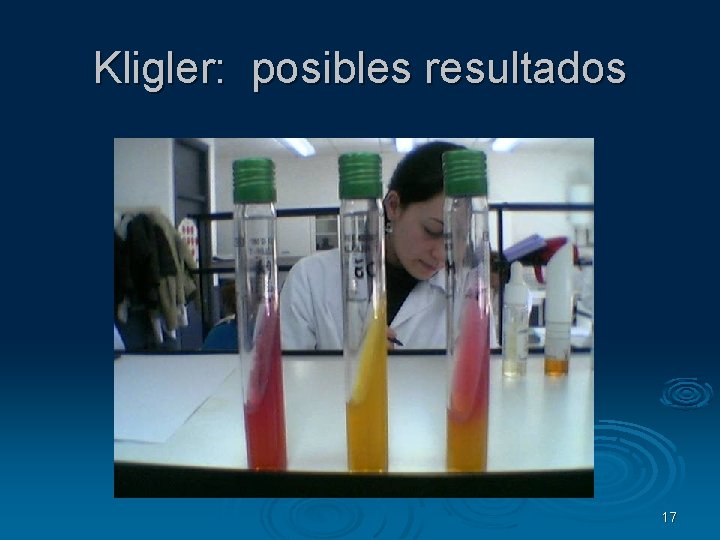 Kligler: posibles resultados 17 