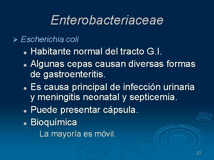 Enterobacteriaceae Escherichia coli Habitante normal del tracto G. I. Algunas cepas causan diversas formas