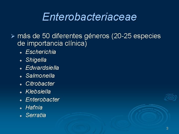 Enterobacteriaceae más de 50 diferentes géneros (20 -25 especies de importancia clínica) Escherichia Shigella