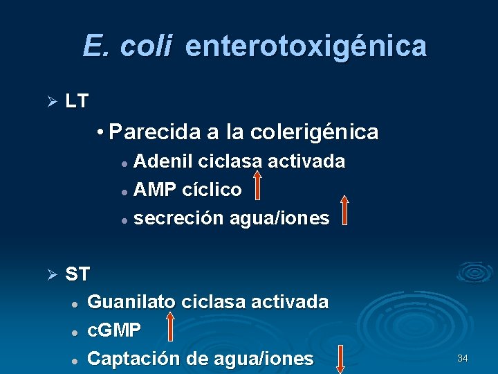 E. coli enterotoxigénica LT • Parecida a la colerigénica Adenil ciclasa activada AMP cíclico