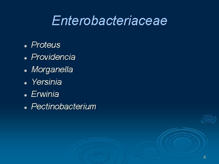 Enterobacteriaceae Proteus Providencia Morganella Yersinia Erwinia Pectinobacterium 4 