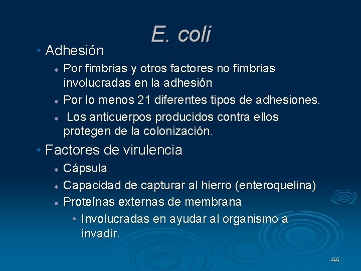  • Adhesión E. coli Por fimbrias y otros factores no fimbrias involucradas en