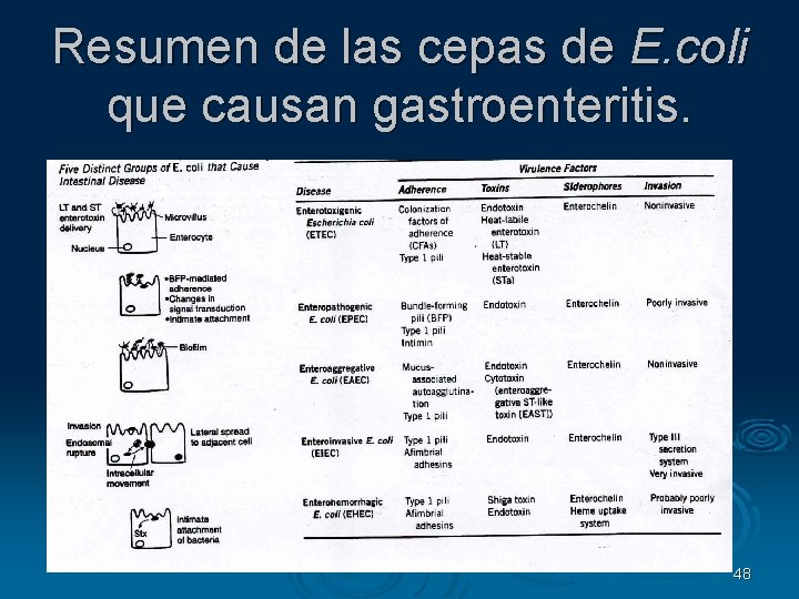 Resumen de las cepas de E. coli que causan gastroenteritis. 48 