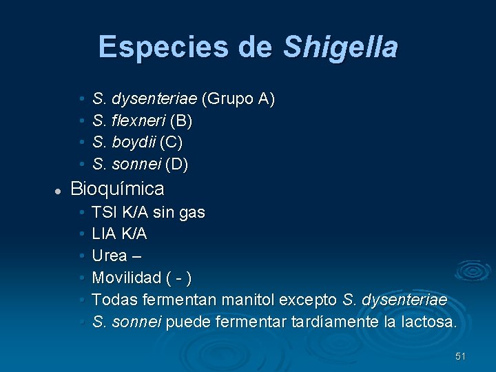 Especies de Shigella • • S. dysenteriae (Grupo A) S. flexneri (B) S. boydii
