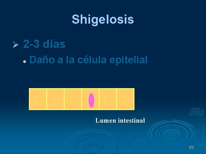 Shigelosis 2 -3 días Daño a la célula epitelial Lumen intestinal 53 