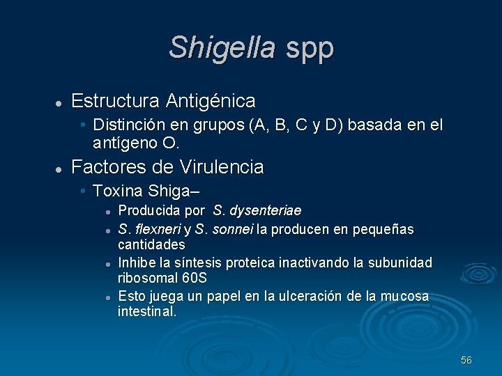 Shigella spp Estructura Antigénica • Distinción en grupos (A, B, C y D) basada