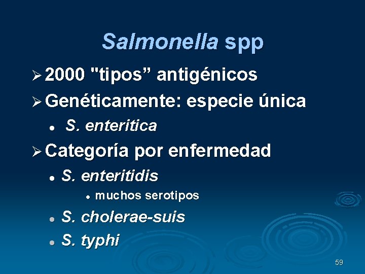 Salmonella spp 2000 "tipos” antigénicos Genéticamente: especie única S. enteritica Categoría por enfermedad S.