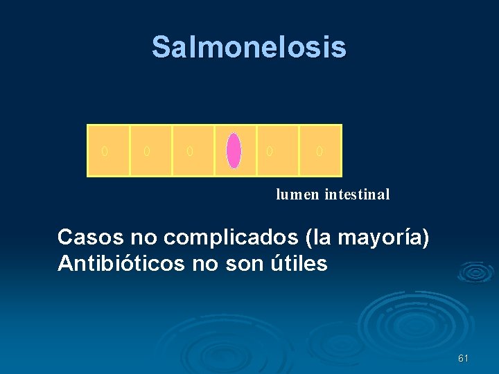 Salmonelosis lumen intestinal Casos no complicados (la mayoría) Antibióticos no son útiles 61 