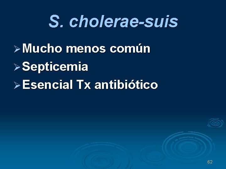 S. cholerae-suis Mucho menos común Septicemia Esencial Tx antibiótico 62 