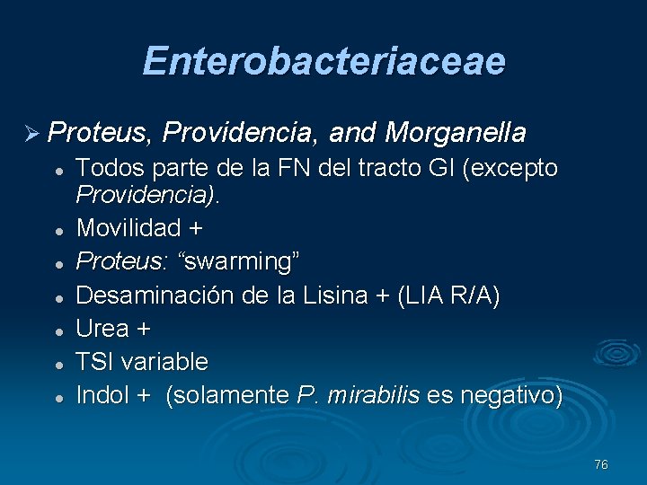 Enterobacteriaceae Proteus, Providencia, and Morganella Todos parte de la FN del tracto GI (excepto