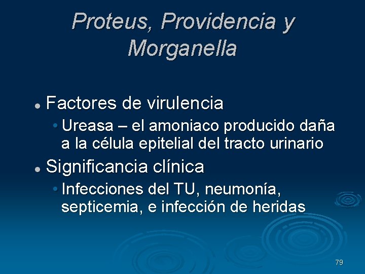 Proteus, Providencia y Morganella Factores de virulencia • Ureasa – el amoniaco producido daña