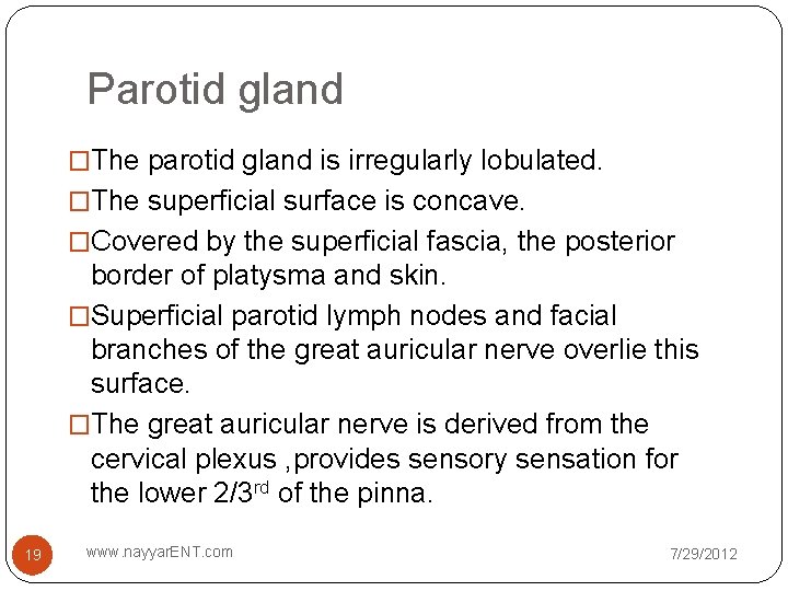 Parotid gland �The parotid gland is irregularly lobulated. �The superficial surface is concave. �Covered