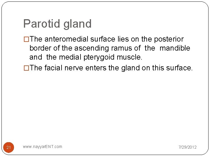 Parotid gland �The anteromedial surface lies on the posterior border of the ascending ramus