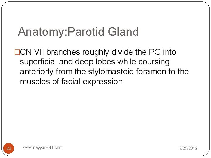 Anatomy: Parotid Gland �CN VII branches roughly divide the PG into superficial and deep