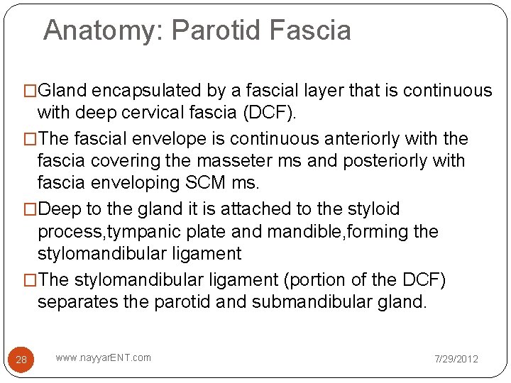 Anatomy: Parotid Fascia �Gland encapsulated by a fascial layer that is continuous with deep