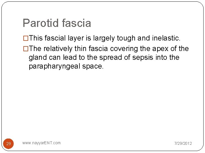 Parotid fascia �This fascial layer is largely tough and inelastic. �The relatively thin fascia