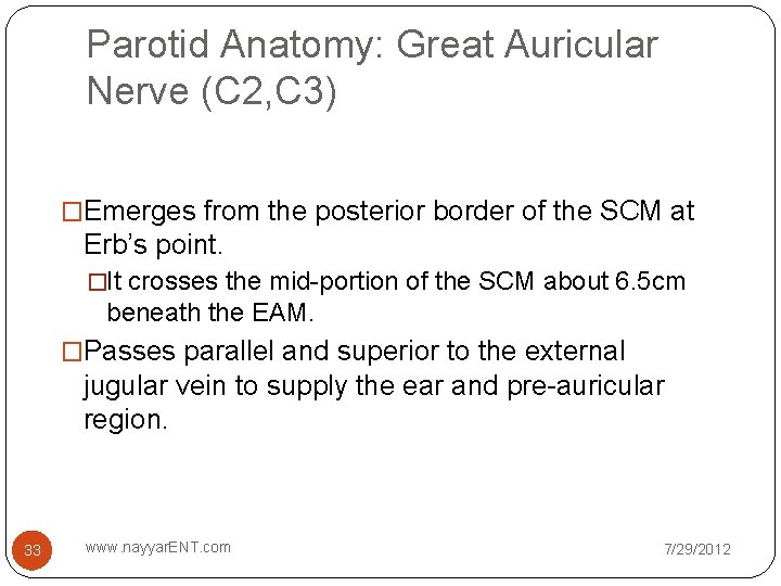 Parotid Anatomy: Great Auricular Nerve (C 2, C 3) �Emerges from the posterior border