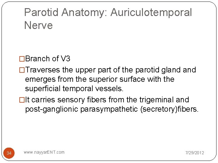 Parotid Anatomy: Auriculotemporal Nerve �Branch of V 3 �Traverses the upper part of the