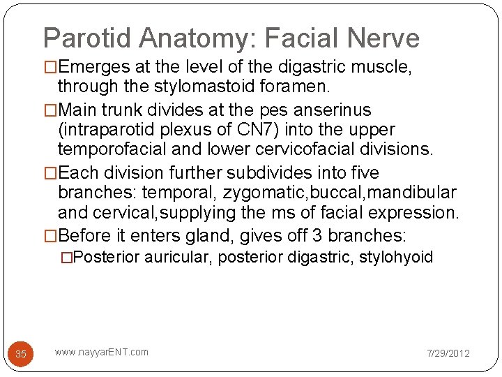 Parotid Anatomy: Facial Nerve �Emerges at the level of the digastric muscle, through the