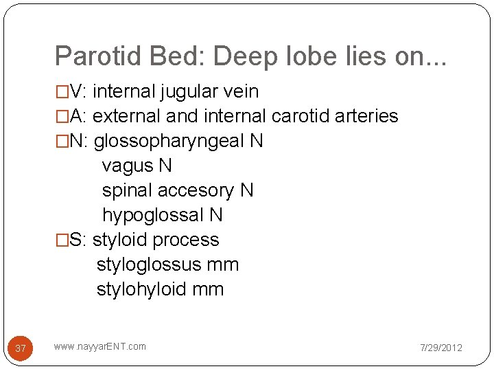 Parotid Bed: Deep lobe lies on. . . �V: internal jugular vein �A: external