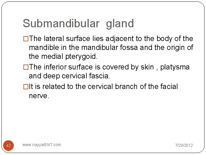 Submandibular gland �The lateral surface lies adjacent to the body of the mandible in