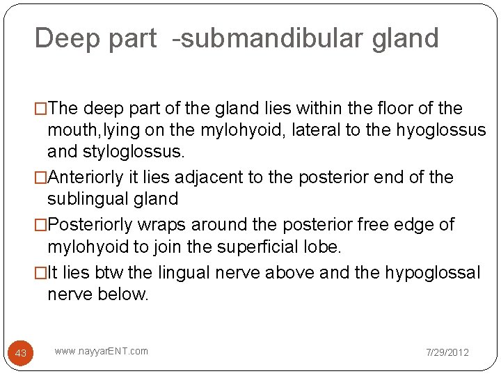 Deep part -submandibular gland �The deep part of the gland lies within the floor