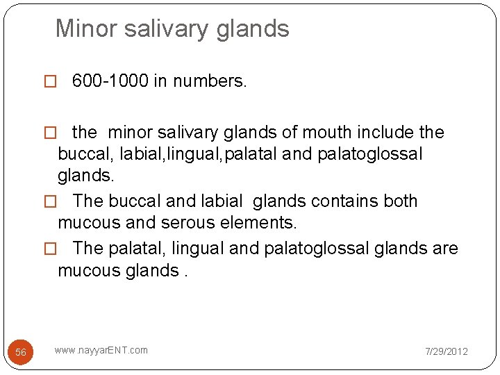 Minor salivary glands � 600 -1000 in numbers. � the minor salivary glands of