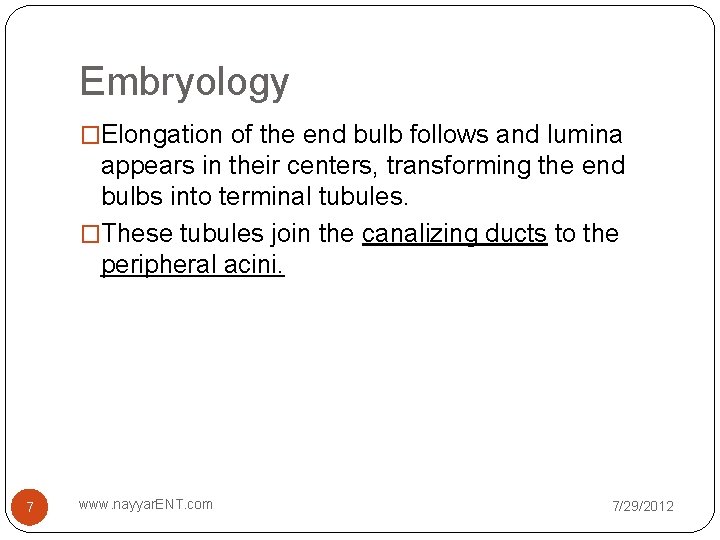 Embryology �Elongation of the end bulb follows and lumina appears in their centers, transforming
