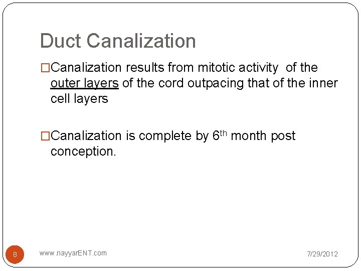 Duct Canalization �Canalization results from mitotic activity of the outer layers of the cord